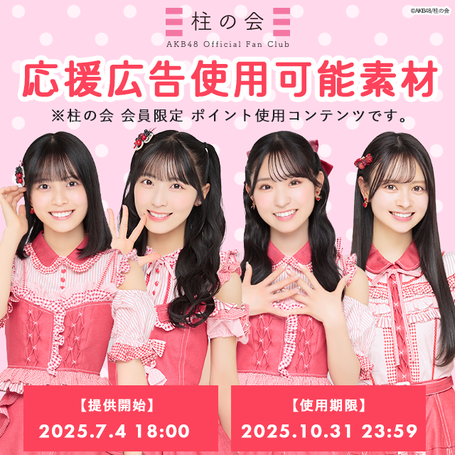AKB48 SKE48 NMB48 HKT48 乃木坂46 写真 243枚セット AKB48 SKE48 NMB48 HKT48 乃木坂46 NGT48 STU48 櫻坂46