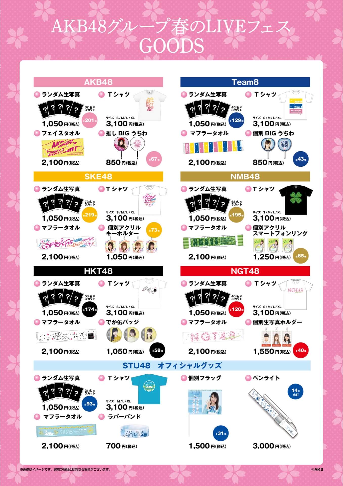 Akb48グループ 春のliveフェス In 横浜スタジアム